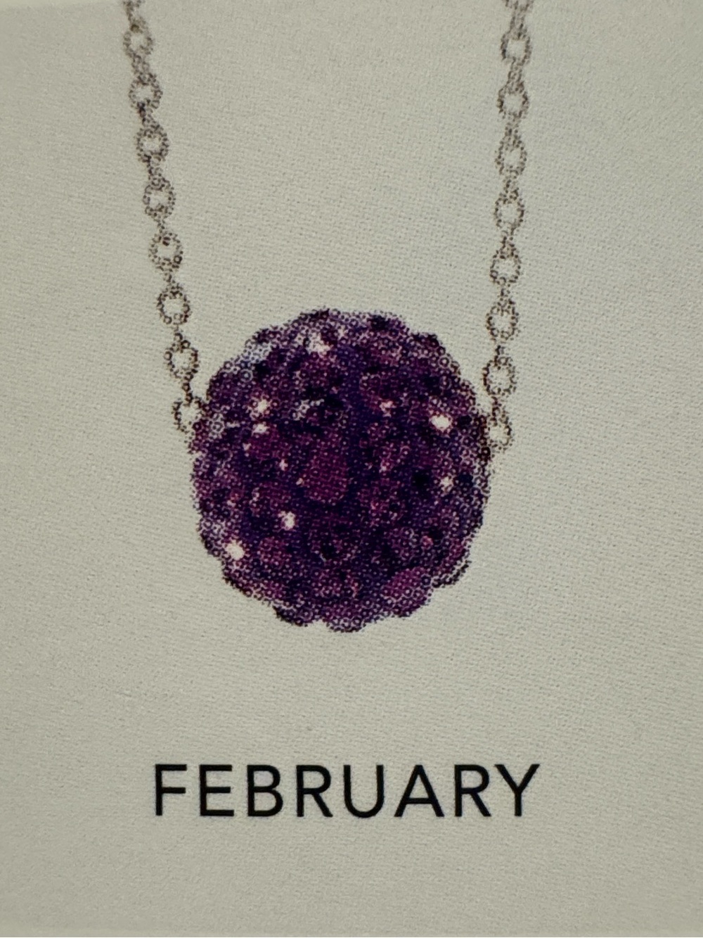NWT Touchstone Crystal “Birthstone Necklace, February” (Amethyst), Retired